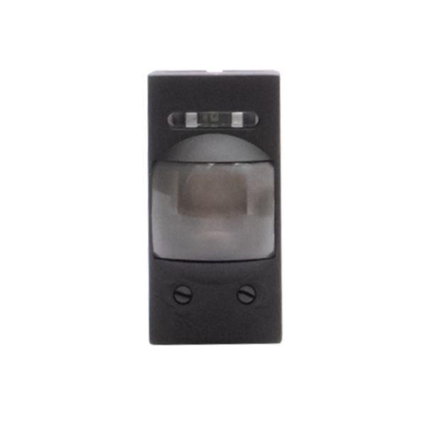 Switch with passive infrared ray movement sensor