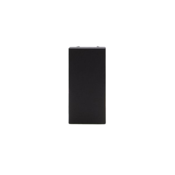 Blank plate - 1 module