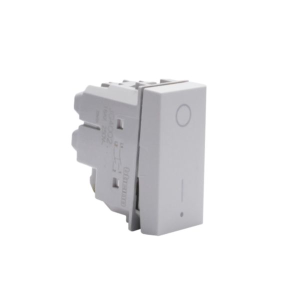 2P switches. 2P 16 A 250 Va.c. - lightable with led lamps LN4742V230T - LN4742V127T  -  LN4742V12T - 1 module - Grey 