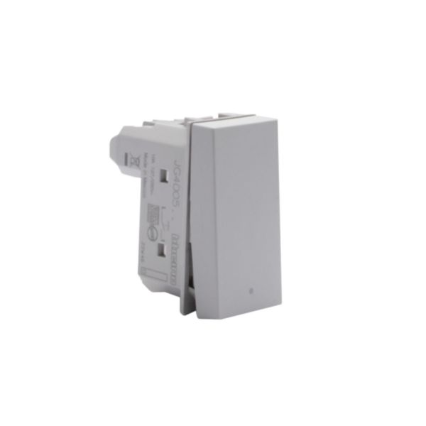 Rocker pushbutton. 1P NO 10 A - 250 Va.c. - lightable