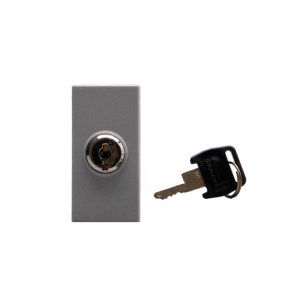 Switches with key. 2-way switch 10 AX - 250 Va.c.