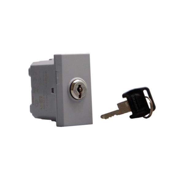 Switches with key. 2-way switch 10 AX - 250 Va.c.