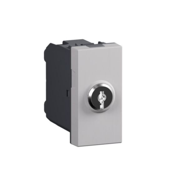 Switch with key. 2-way switch 10 AX - 250 Va.c.