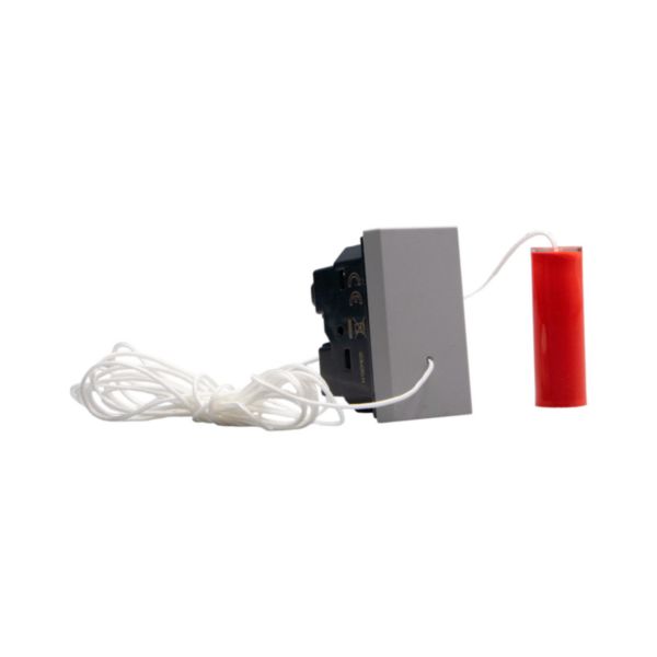 Cord pushbutton 1P NO/NC 10 A 250 Va.c. 