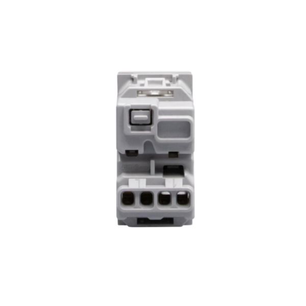 1- way axial switches. 1P 10 AX - 250 Va.c. 