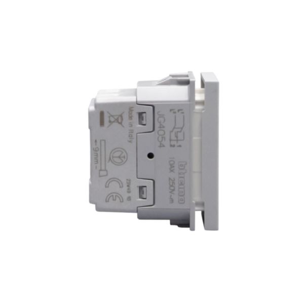 Intermediate axial switches. 1P 10 AX - 250 Va.c. 
