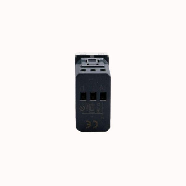 Switch with passive infrared ray movement sensor 