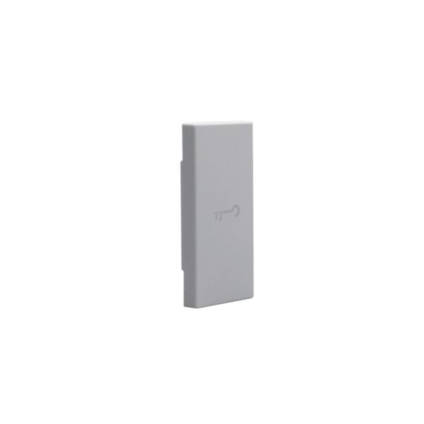 Key cover with key symbol - for axial controls  