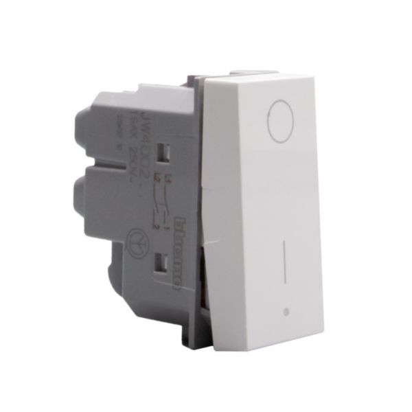 2P switches. 2P 16 A 250 Va.c. 