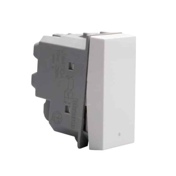 Intermediate rocker switches. 1P 10 AX - 250 Va.c.  