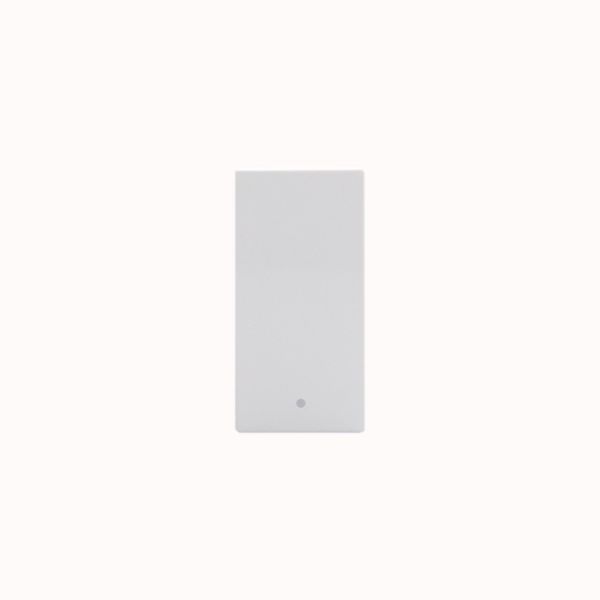 Intermediate rocker switches. 1P 10 AX - 250  - Antibacterial range