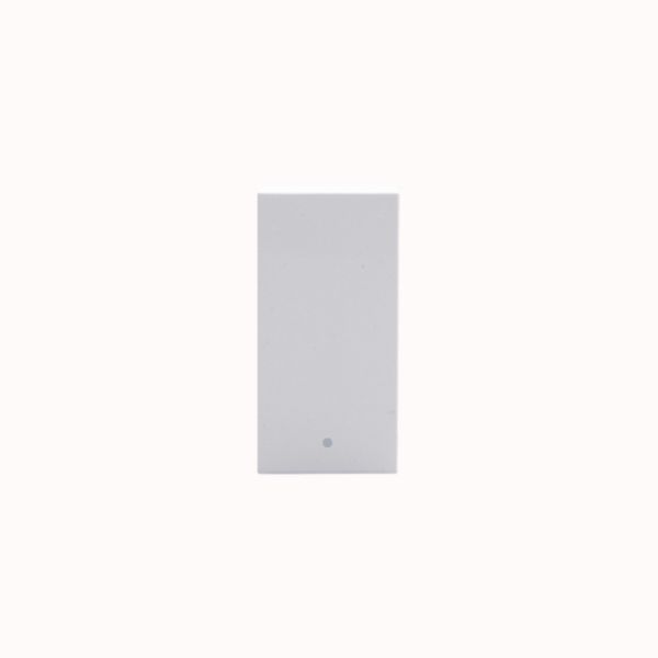 Rocker pushbutton. 1P NO 10 A - 250 Va.c.  