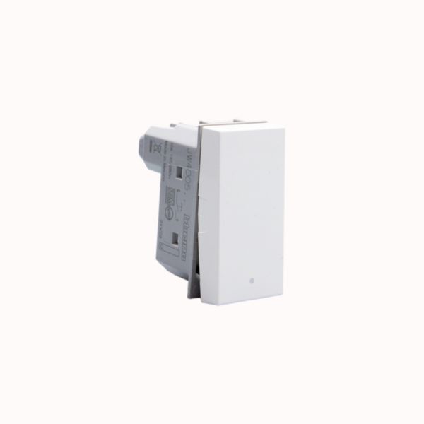 Rocker pushbutton. 1P NO 10 A - 250 Va.c.  