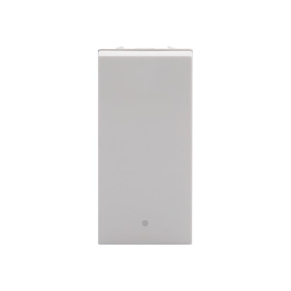 Rocker pushbutton. 1P NO 10 A - 250 Va.c.  - Antibacterial range