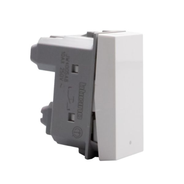 Rocker pushbutton. 1P NO 10 A - 250 Va.c.  - Antibacterial range