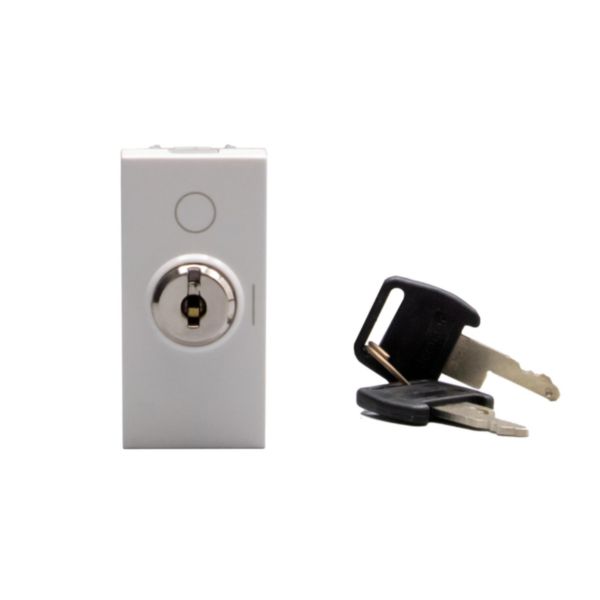 Switches with key. 1-way switch 2P 16 AX - 250 Va.c.  