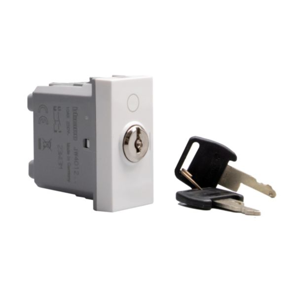 Switches with key. 1-way switch 2P 16 AX - 250 Va.c.  