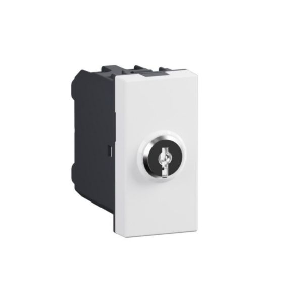 Switch with key. 1-way switch 2P 16 AX - 250 Va.c.