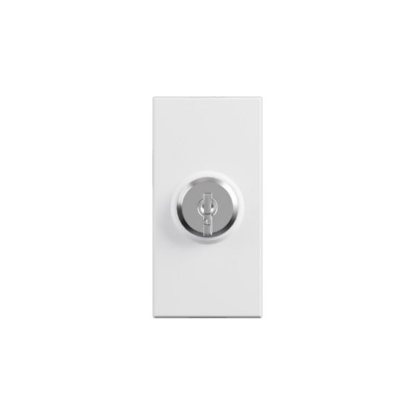 Switch with key. 1-way switch 2P 16 AX - 250 Va.c.