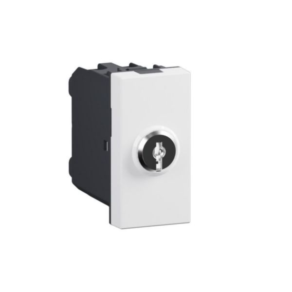Switch with key. Pushbutton 2P 16 AX - 250 Va.c.