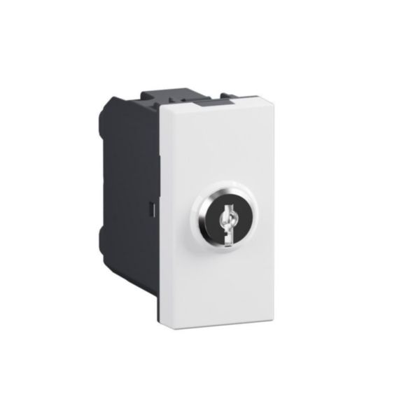 Switch with key. 2-way switch 10 AX - 250 Va.c.