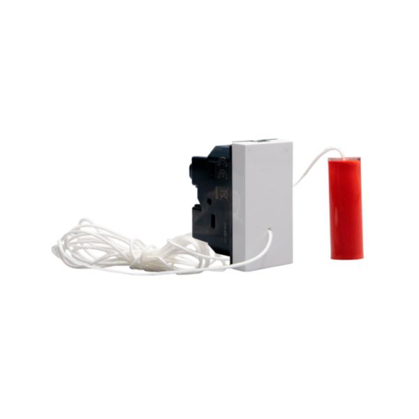 Cord pushbutton 1P NO/NC 10 A 250 Va.c.  