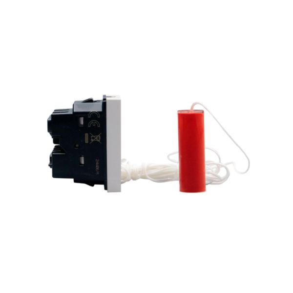Cord pushbutton 1P NO/NC 10 A 250 Va.c.  