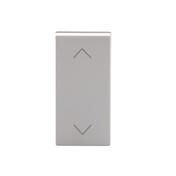 Double pushbutton with interlock 1P NO + 1P NO 10 A 250 Va.c. 