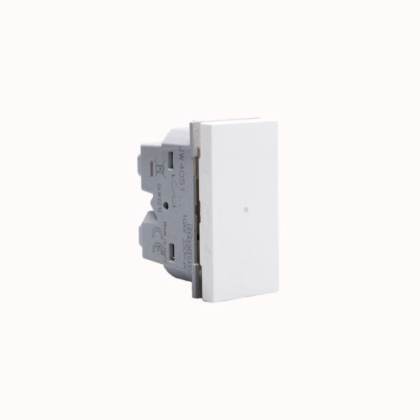 1- way axial switches. 1P 10 AX - 250 Va.c.  