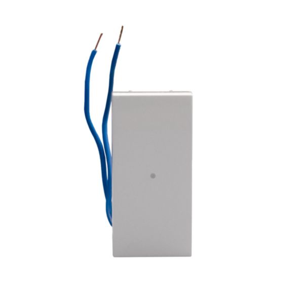 Intermediate axial switches. 1P 10 AX - 250 Va.c.  