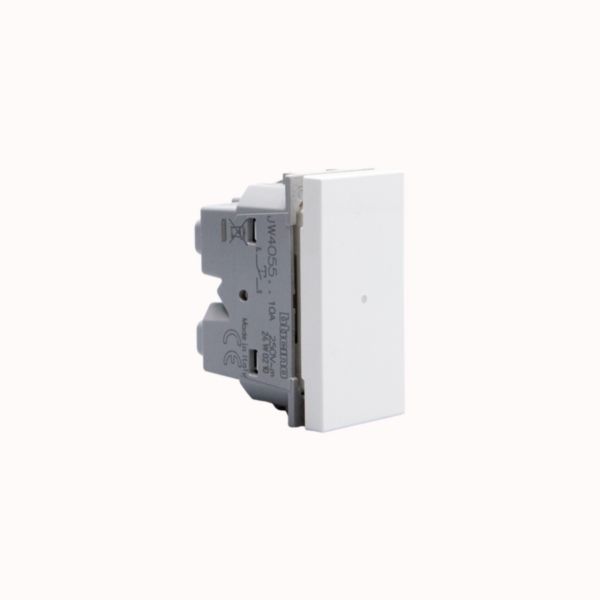 Axial 1P NO 10 A - 250 Va.c.  