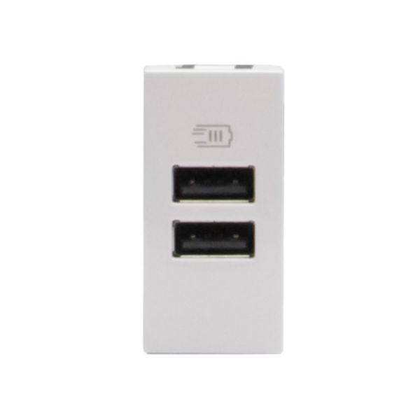 Double USB sockets - 2 x Type-A - 5 V= - 3 A - 15 W  