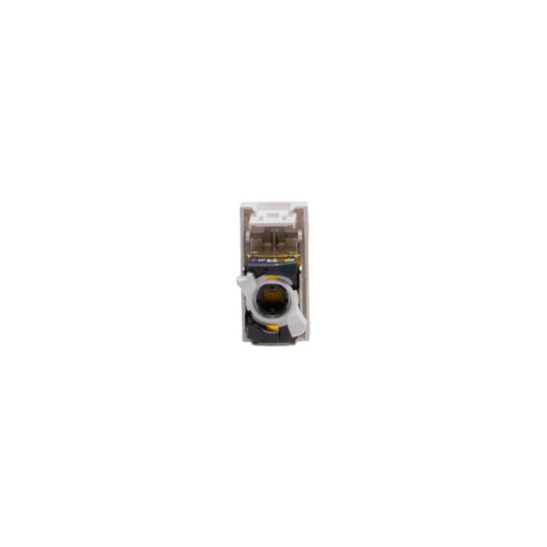 RJ45 connectors. Cat 6A - Type UTP  