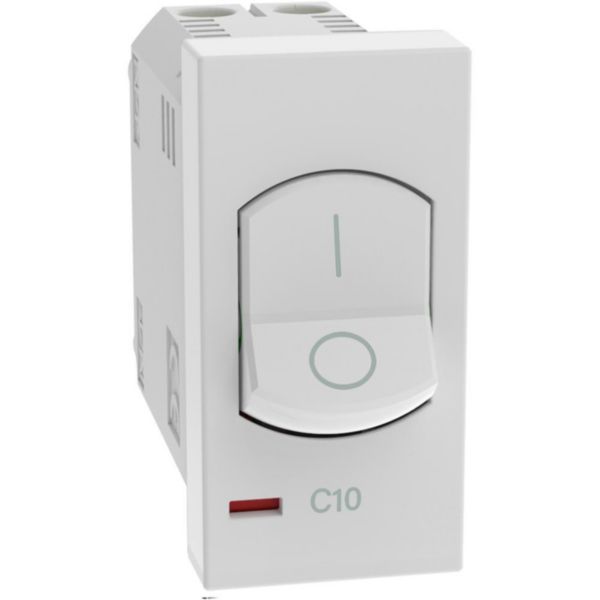 Automatic thermal magnetic circuit breakers. Type Two-pole - In 10 A - Vn 230 Va.c. - Breaking powers 1500 A 