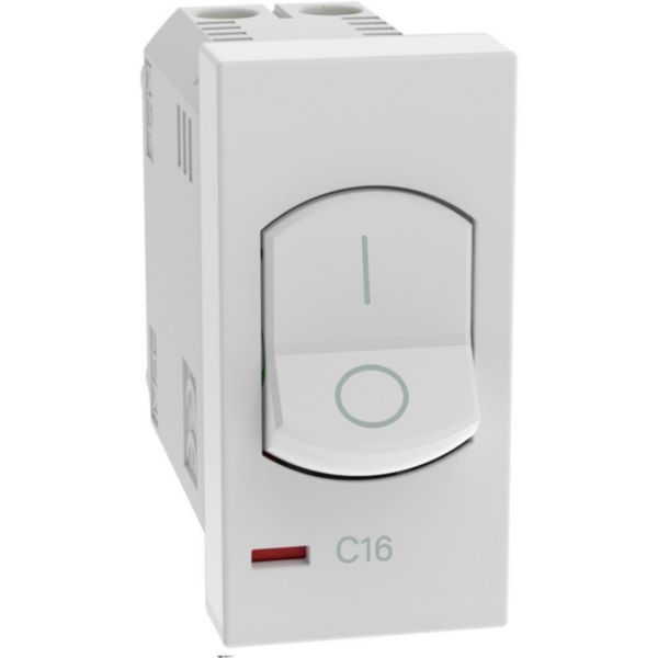 Automatic thermal magnetic circuit breakers. Type Two-pole - In 16 A - Vn 230 Va.c. - Breaking powers 1500 A  