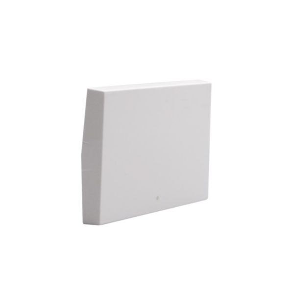 Neutral key cover with lightable diffuser - for rocker controls