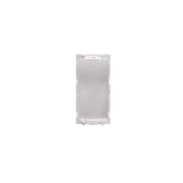 Blank plate 