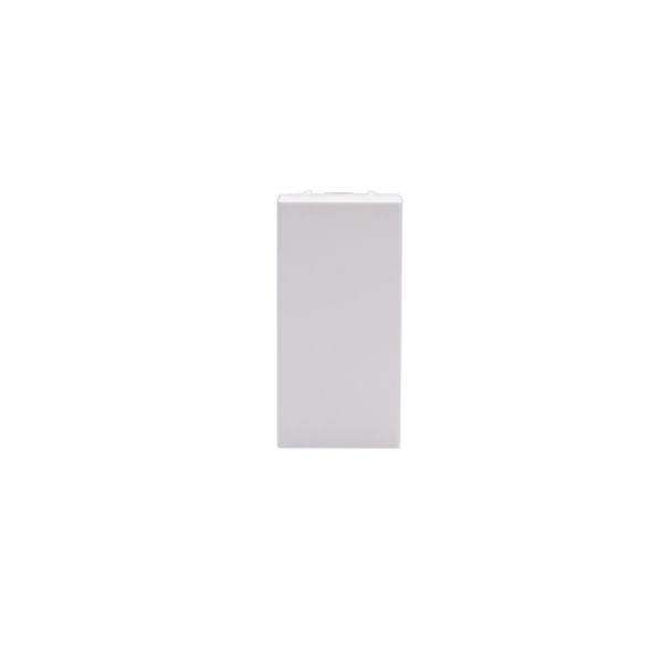 Blank plate 