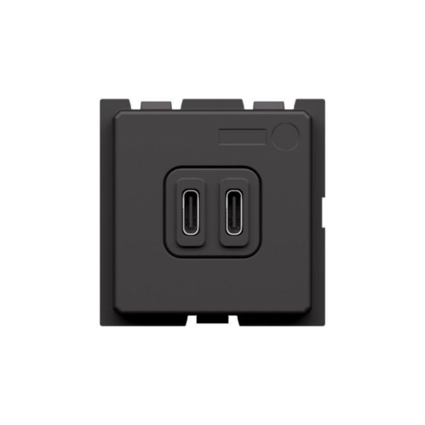USB charger with 2 type C ports - 20W