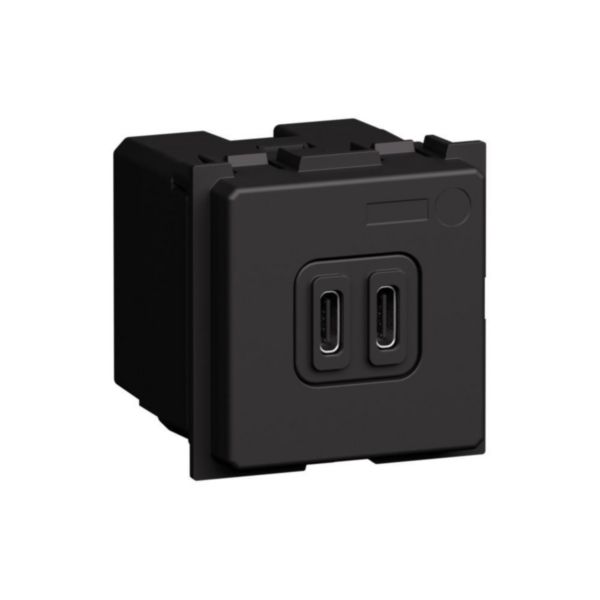 USB charger with 2 type C ports - 20W