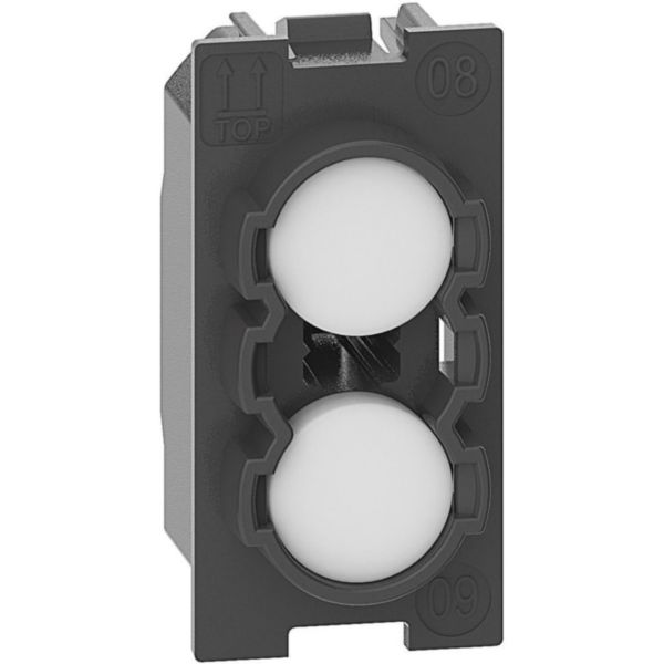 Lampholder with transparent diffuser