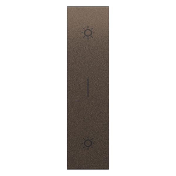 Cover for item K4036 