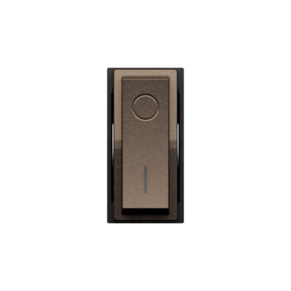 2P 16 AX, 250 VA, lightable switch 