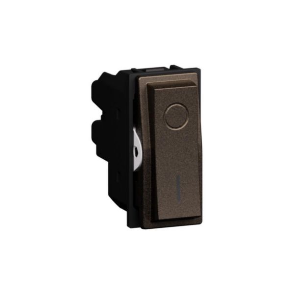 2P 16 AX, 250 VA, lightable switch 