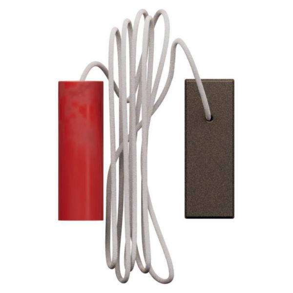 15 A 250 VA pull-cord pushbutton 1 P (NO) and 1 P (NC)