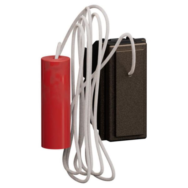 15 A 250 VA pull-cord pushbutton 1 P (NO) and 1 P (NC)