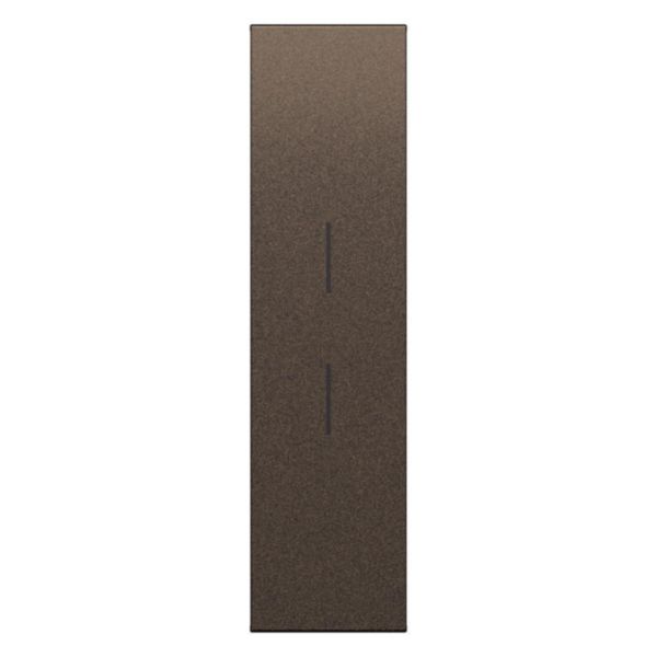 Blank cover for multifunction controls.