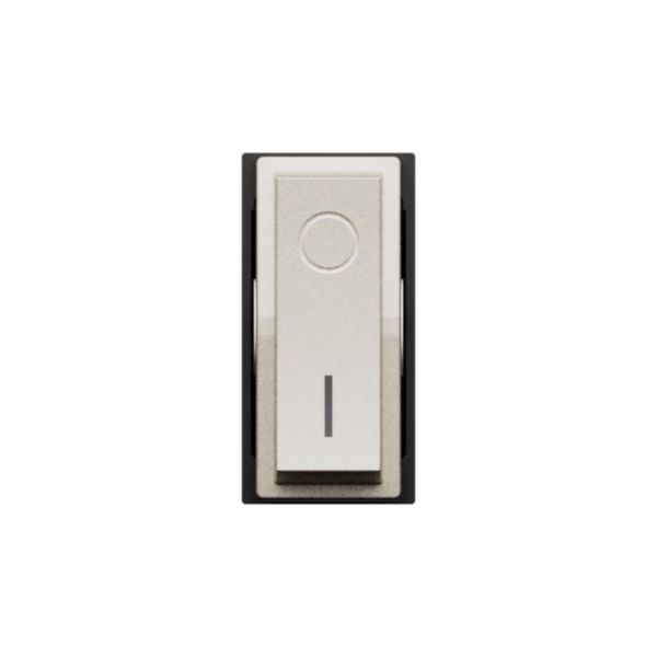 2P 16 AX, 250 VA, lightable switch 