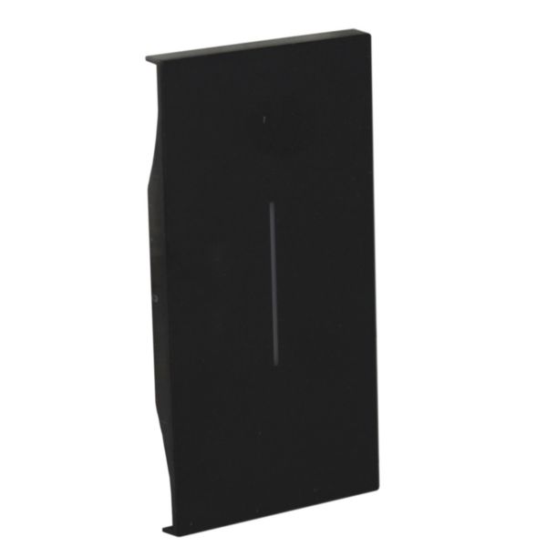 Lightable cover, 2 modules - neutral. For devices item K4672M2L and K4652M2. Black.