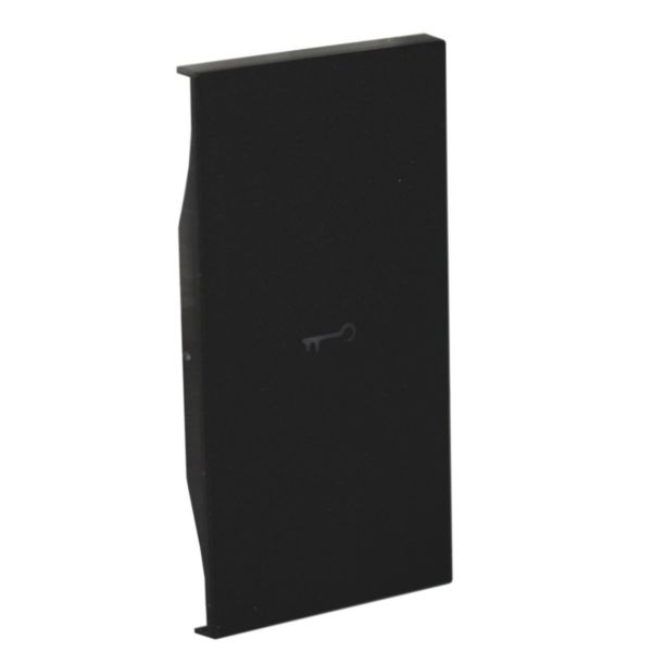 Lightable cover, 2 modules - KEY symbol. For devices item K4672M2L and item K4652M2. Black.